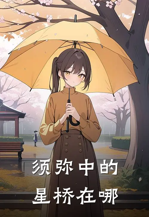 须弥中的星桥在哪