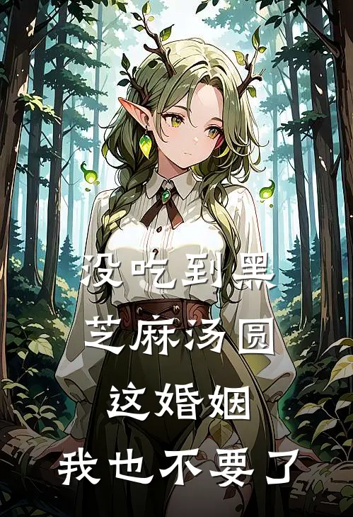 没吃到黑芝麻汤圆，这婚姻，我也不要了(楚海宁楚辰)热门小说_完结版小说全文免费阅读没吃到黑芝麻汤圆，这婚姻，我也不要了(楚海宁楚辰)